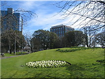 SP3378 : Greyfriars Green by E Gammie