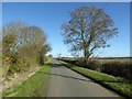 Country road to Preston-on-Stour