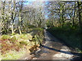 A walk to Meltham Mills Reservoir 19 - driveway to Upper Cote Farm