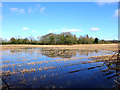 Flooded field West of Four Lane Ends, Mawdesley