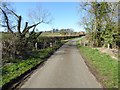 Country road near Mansell Farm