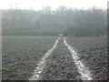 Double track across a muddy field