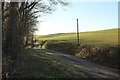 Lane from Beara Cross