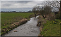 The River Brock from Light Ash Bridge