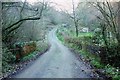 Bridge over Dodscott Brook