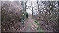 Path Linking Dawberry Fields Road with Shalnecote Grove