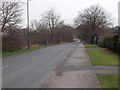 Forest Lane - viewed from Sherwood Drive