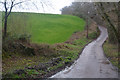 North Devon : Country Lane