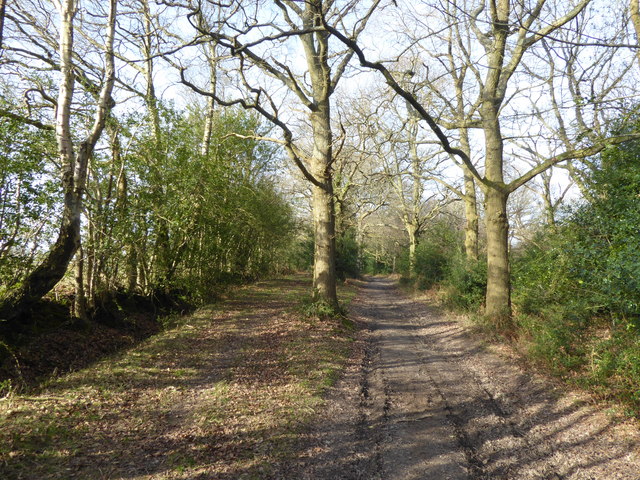 Path through the woods near Chelwood... © Marathon :: Geograph Britain ...