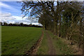 Hertfordshire Way looking towards St Albans Road