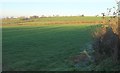 Farmland near Three Gates Cross