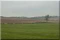 Farmland outside Duggleby