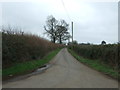 Lane towards Newhall Green