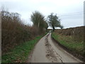 Lane towards Fillongley