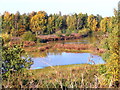 Disused gravel pit, Stanway