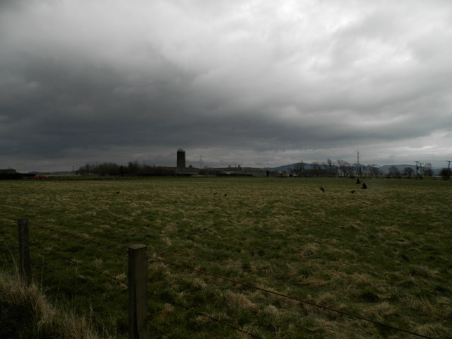 Field at Horn Farm