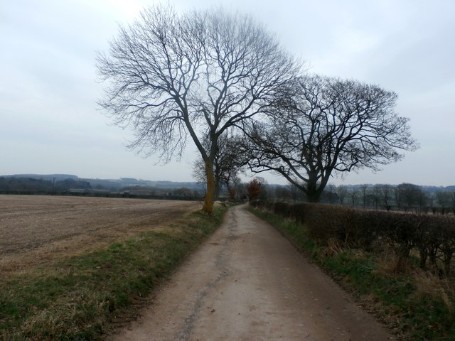Track to the Frickley Estate