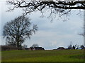 Farmland on the edge of Wigston Magna