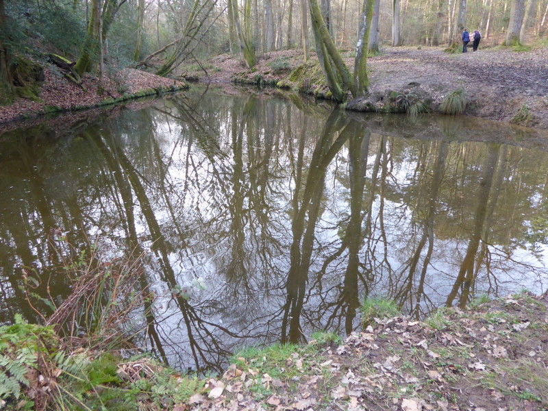 Lake in Chelwood Vachery Forest Garden © Marathon cc-by-sa/2.0 ...