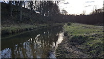 NU2516 : Looking upstream of Howick Burn just before it meets the sea by Clive Nicholson