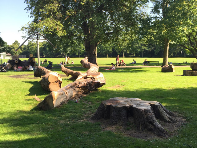 Dismantled Horse Chestnut, Victoria Park play area, Leamington