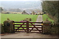 Driveway to Pennar Bach Farm