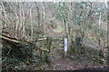 Footpath to Cefn-pennar Farm