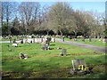 Cemetery by Holly Hill Woodland Park