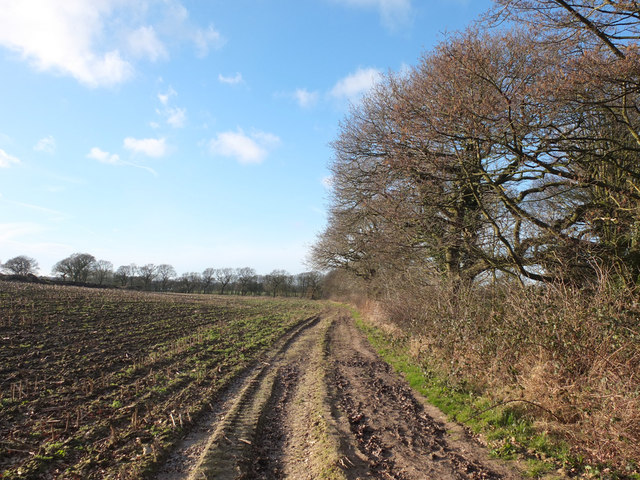 Path between Bentley Lane and Old Lane, Hilldale