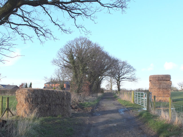 Old Lane, approaching Back Lane, Mawdesley