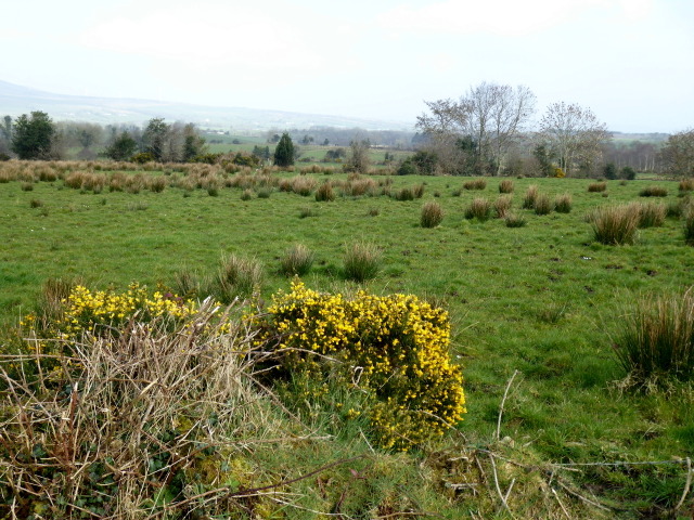 Whins, Mullanatoomog © Kenneth Allen cc-by-sa/2.0 :: Geograph Ireland