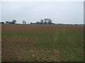 SP3188 : Field south of Astley by JThomas