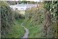 Footpath to East Prawle