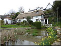 Thatched cottage by a pool, The City, Bishopstone