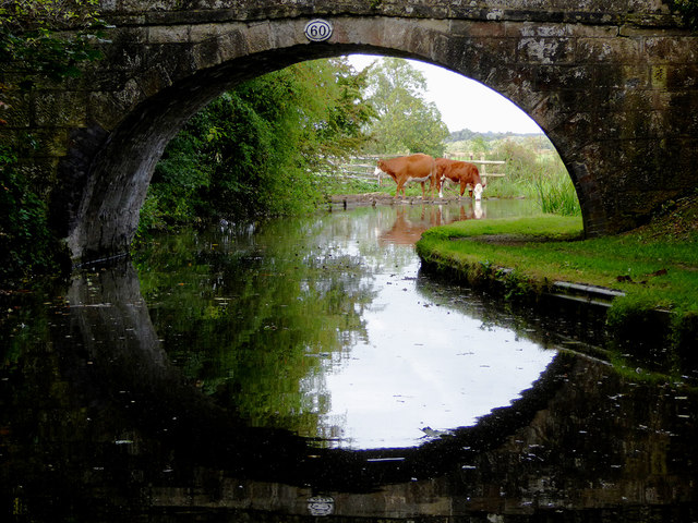 The Ashby Canal north of Snarestone in Leicestershire