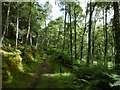 Affric Kintail Way