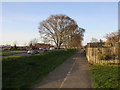 Footpath alongside Eden Field Road