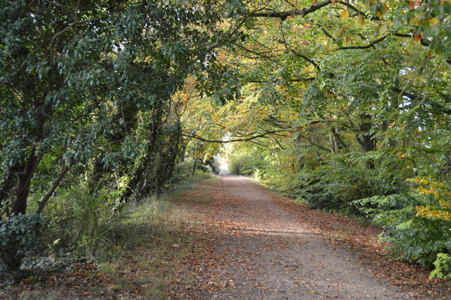 Roman Road © N Chadwick cc-by-sa/2.0 :: Geograph Britain and Ireland