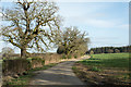 Access road for Castle Farm