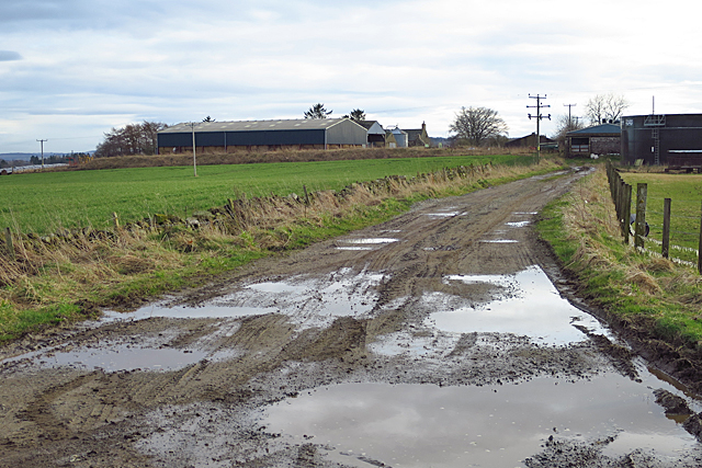Puddles on the Farm Road