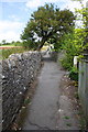 Footpath running north past #30 Olav Road