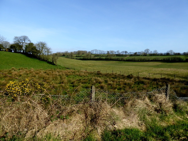 Rough ground, Beltany