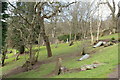 Catrine Parish Church Graveyard