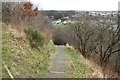 Path down to Catrine