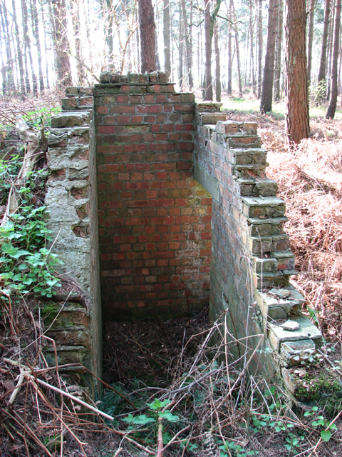 The remains of an air raid shelter