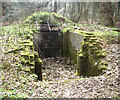 Disused icehouse