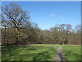 A path in Hilly Fields Park