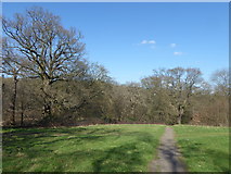 TQ3298 : A path in Hilly Fields Park by Marathon