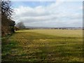 Field seen from Farm House Lane