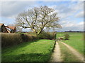 The beginning of the footpath to Elvington